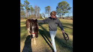 Jack Reynolds UGA VetCAMP application