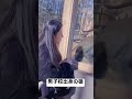 男子校出身の猿がいる動物園に行ってみた結果#shorts