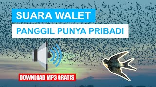 SP WALET PALING RESPON - SUARA WALET PANGGIL UNTUK PRIBADI