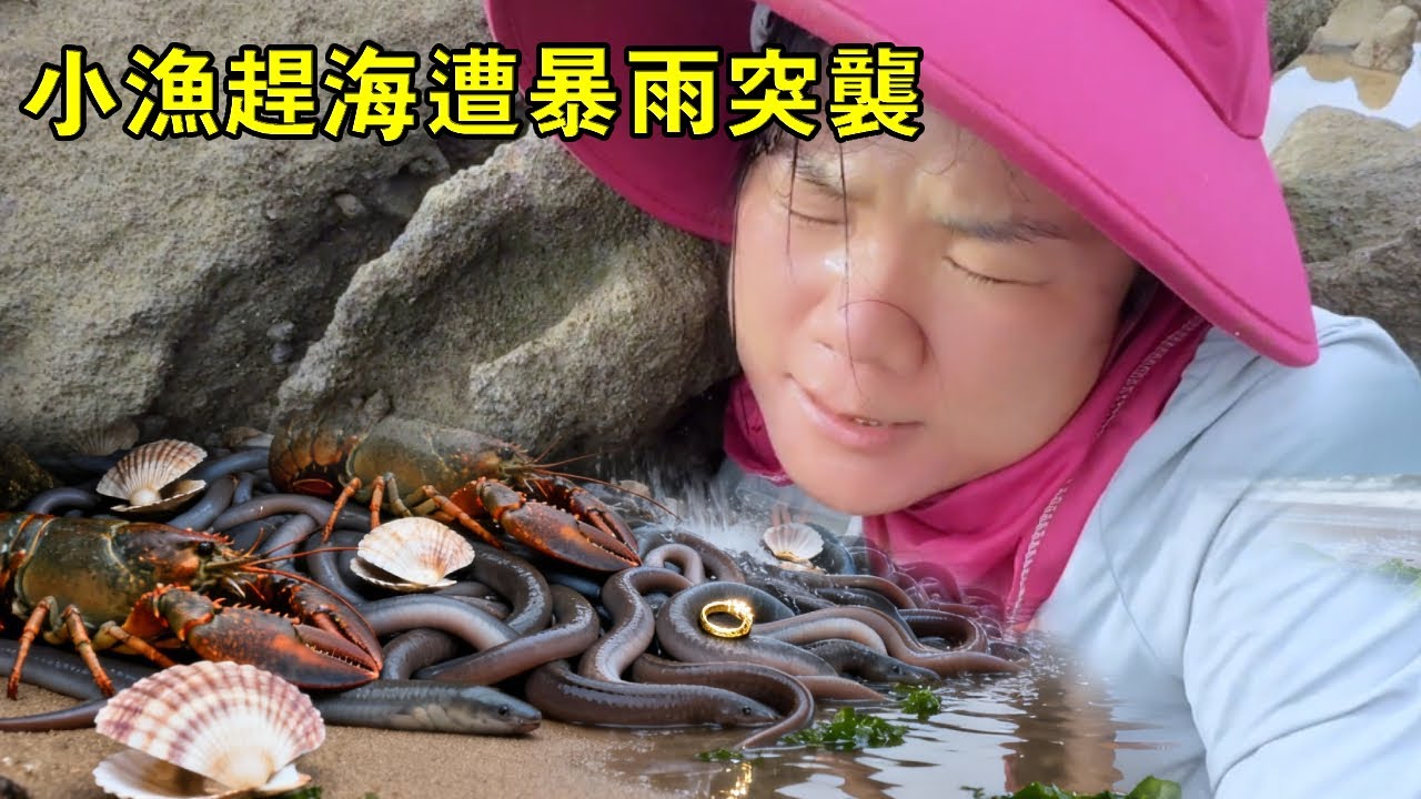小漁趕海遭暴雨突襲，下一秒爆桶，螃蟹、龍蝦、海鰻撿到手軟，這波血賺太過癮【漁小仙】