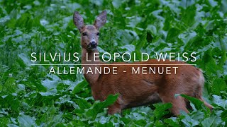 Weiss S.L. - Allemande Largo, Menuet - Alberto Crugnola: Baroque Lute - Serie: Natura - Wildlife