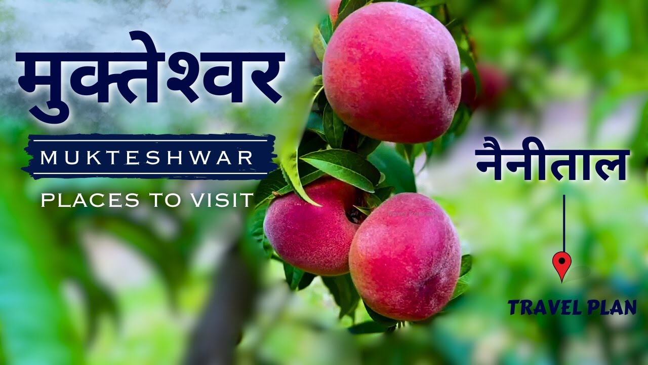 Mukteshwar Travel Plan | Places to Visit | Mukteshwar Dham Temple | Trip to Mukteshwar Uttarakhand