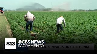UC Merced study examines how deportations could impact California economy