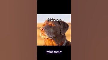 i genuinely hate this game #cs2 #funny #gaming #twitch