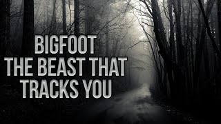The Beast That Tracks You in the Dark