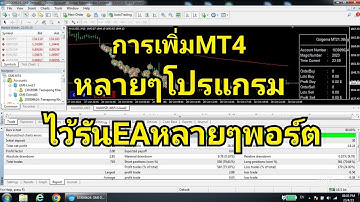 วิธีเพิ่มพอร์ต MT4 เพื่อรัน EA หลายๆพอร์ต forexเทรดยังไงให้รวย