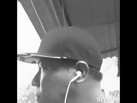 BOOMERANG - CICAK BIN KADAL (COVER)