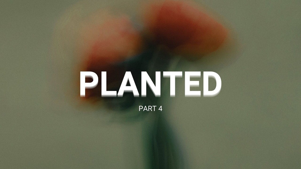 Planted Part 4 | Pastor Matt Young | Access Church