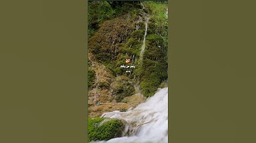 وَيَوْمَئِذٍ يَفْرَحُ الْمُؤْمِنُونَ بِنَصْرِ اللَّهِ #سورة_الروم