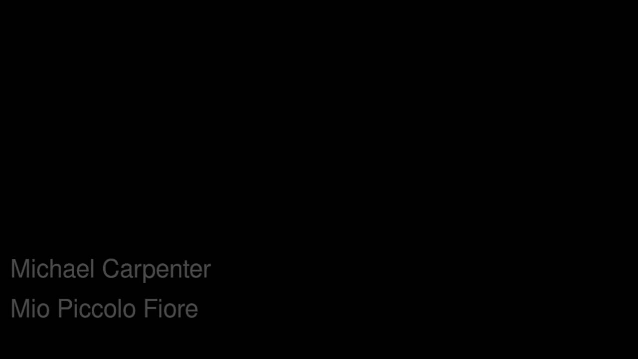 Mio Piccolo Fiore YouTube