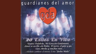 Miniatura del video "Guardianes Del Amor - Para Que Quiero un Corazón"