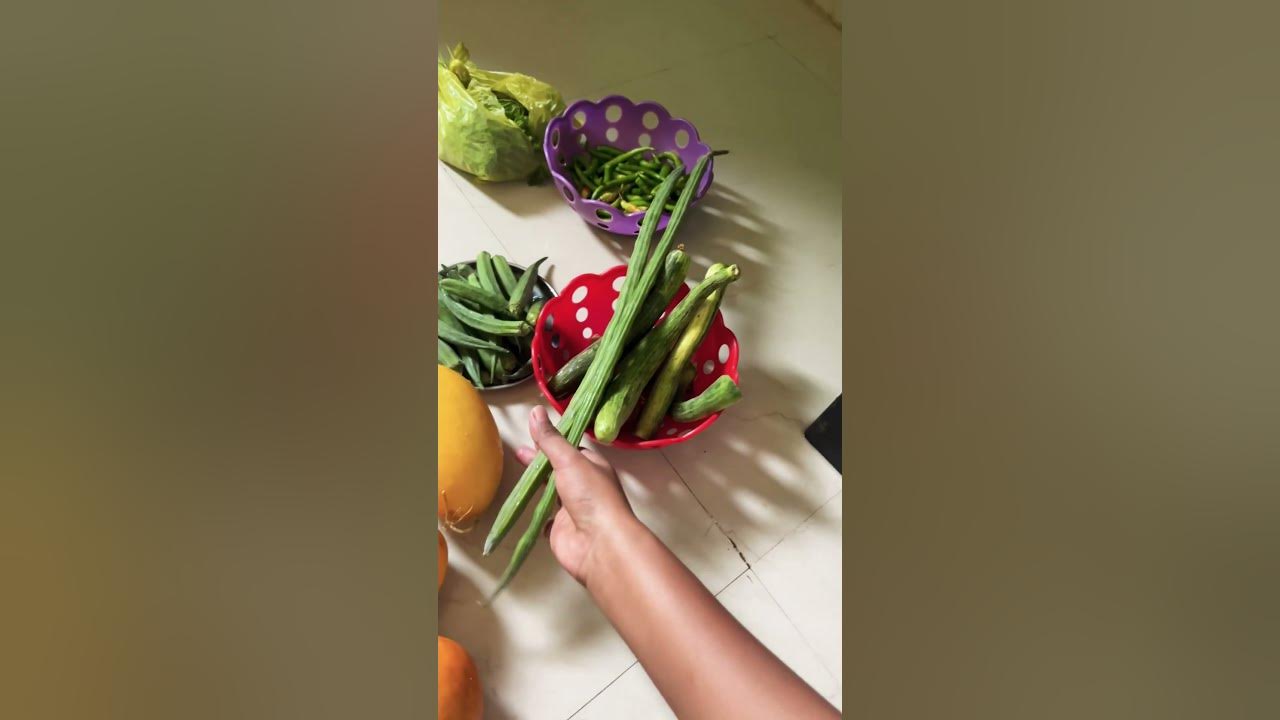 Aaj Subah Subah He Mujhe Parcel Receive Hua Hai minivlog vlog aaj-subah-subah-he-mujhe-parcel-receive-hua-hai-minivlog-vlog