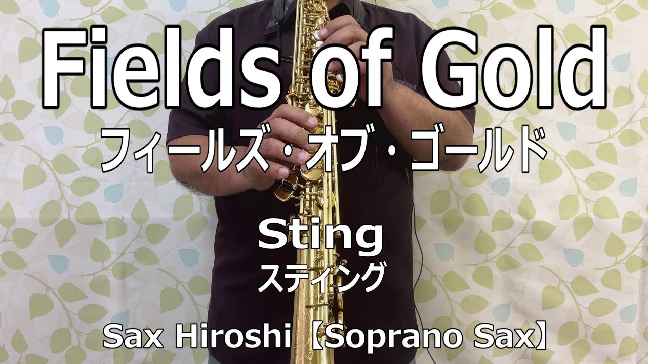 【Soprano Sax】Fields of Gold（フィールズ・オブ・ゴールド）/ Sting（スティング）【Sax Hiroshi