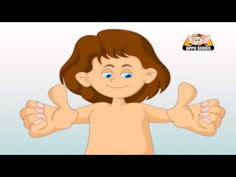 Learn about Human Body Parts in Hindi - Part 2 - YouTube