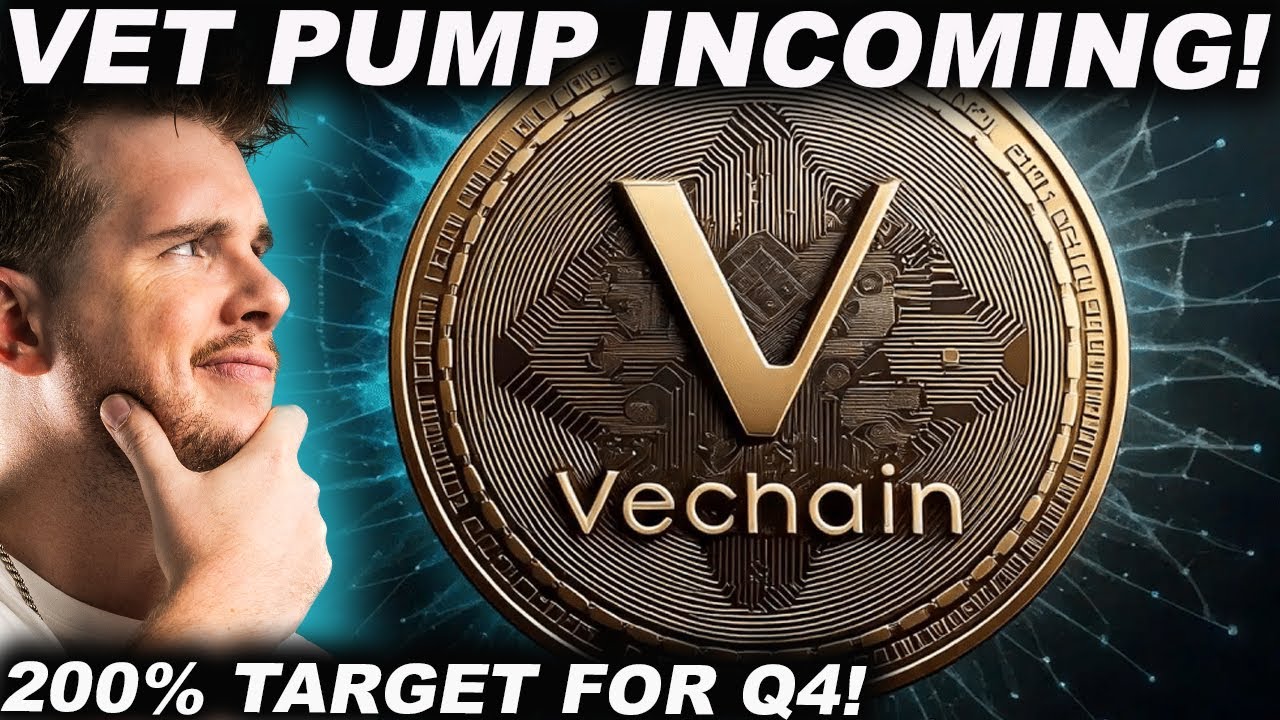 VECHAIN PUMP INCOMING! (200% TARGET FOR VET IN Q4)