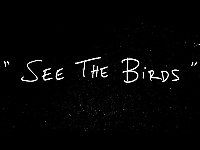 Nate Smith - See the Birds