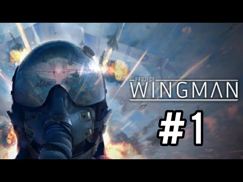 Project Wingman / Прохождение (Часть 1)