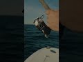 First Responder Hooks His First Tuna! #shorts