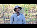 WineLand Media | #SaveSAwine Campaign | July 2020