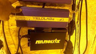 4000 watt growroom update,....