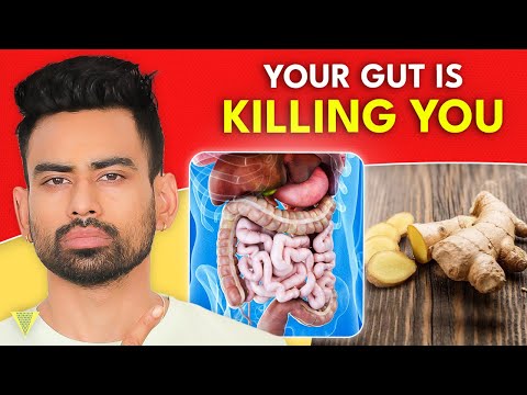 5 Amazing Foods to Improve Gut Health
