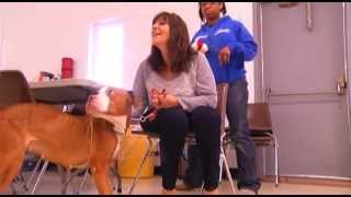 Coco recovering at the Central New York SPCA
