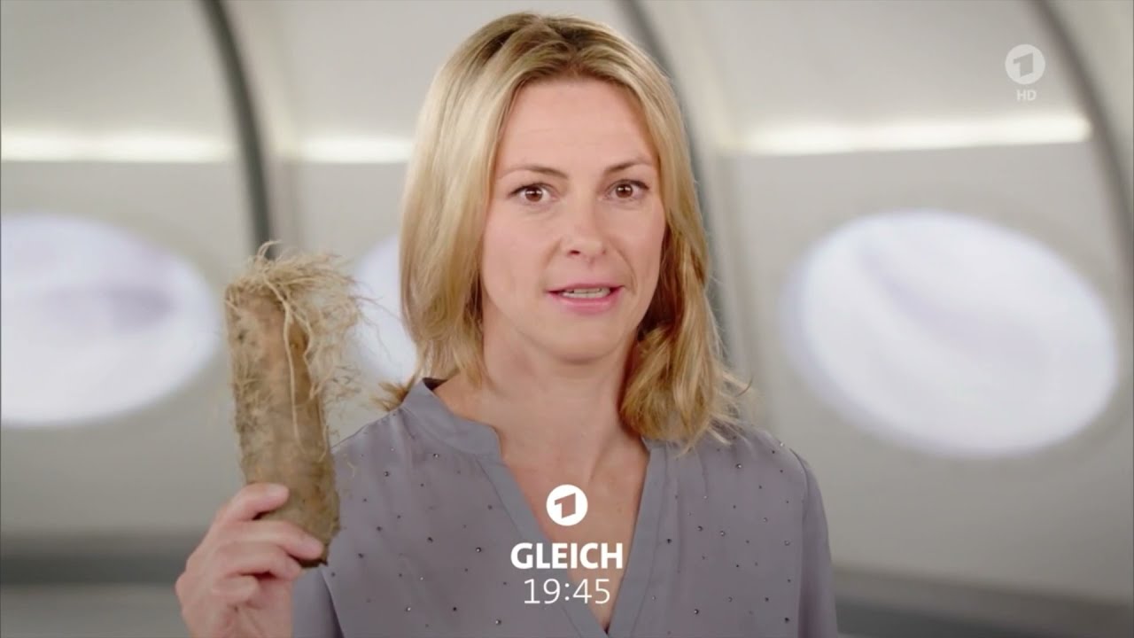 Das Erste: Programmhinweise & Werbung-Idents Winter | 22.3.21 ab 