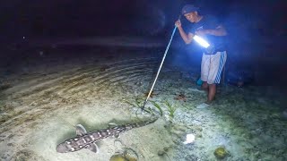 Nyuluh waktu air laut kering malam dan akhirnya bisa menombak Ikan Hiu