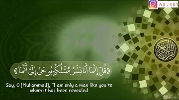 حالات واتس اب قرءان كريم الشيخ رعد محمد الكردي تلاوة خاشعه مليئه بالسكينه❤