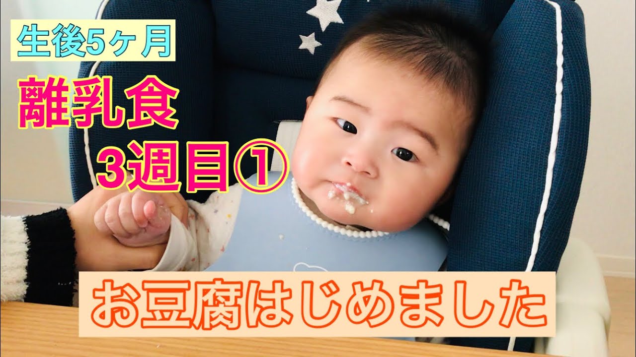 生後5ヶ月 離乳食3週目 タンパク質 お豆腐 にチャレンジ Youtube