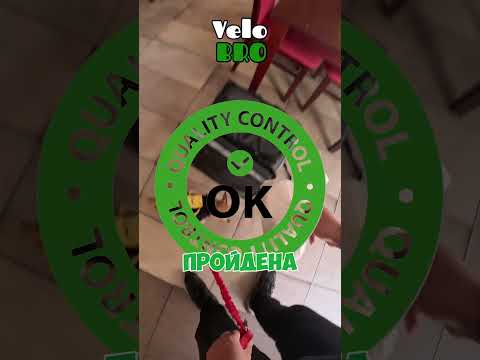 Больше миниБРО #dostawa #cute #dog #chihuahua #доставка #dostawajedzenia #работавпольше #glovo