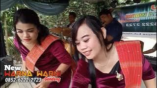 Tiga Sibolangit vs Famili taksi versi Gondang New Warna warni