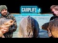 Carplife Podcast #40 Die Unfangbaren