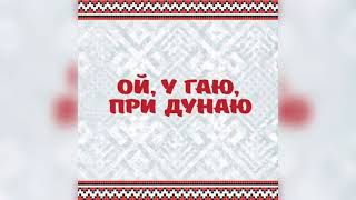 "Ой у гаю при дунаю"Гарна українська народна музика!