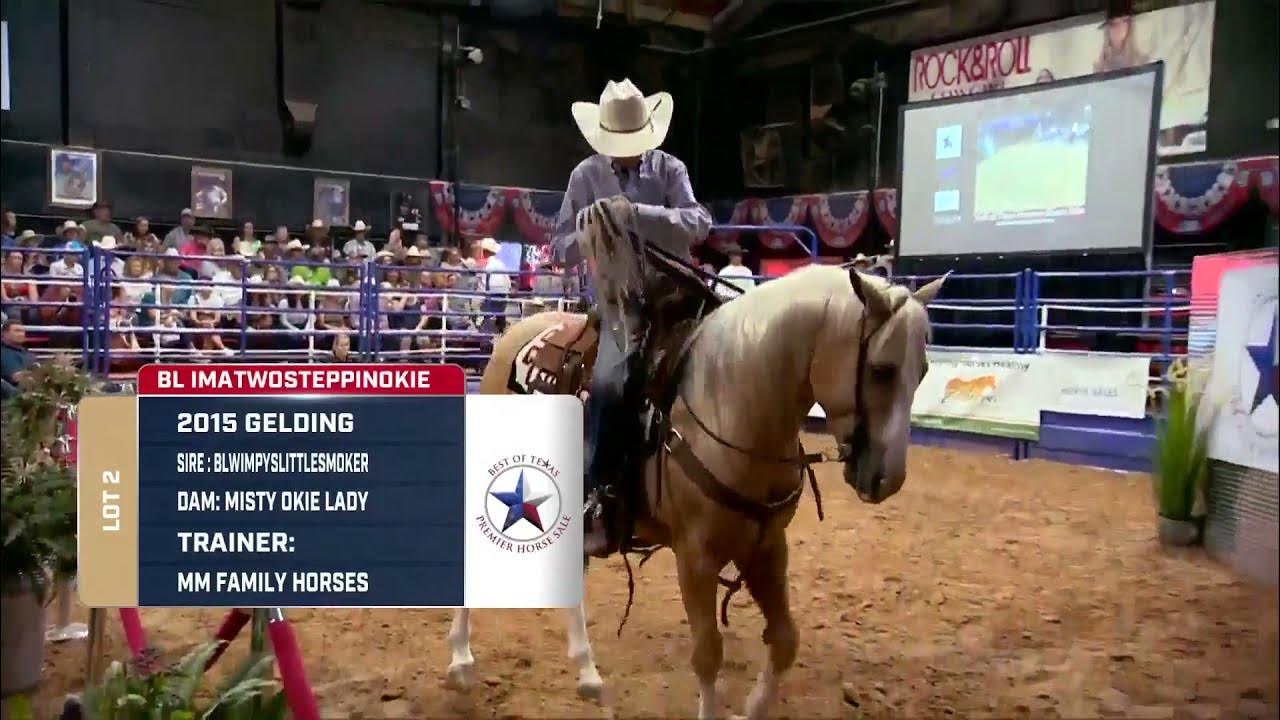 2021 Best of Texas Premier Horse Sale Via The Cowboy Channel YouTube