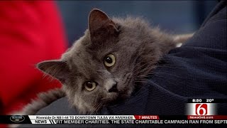 Oklahoma Alliance For Animals Explains Why 'It's Hip to Snip'