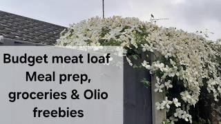 Budget meat loaf and meal prep. Last groceries and amazing Olio freebies.