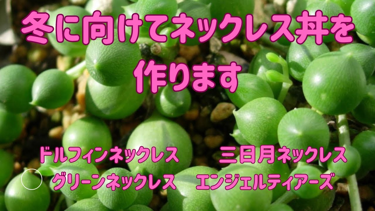 冬に向けて、ネックレス系ハンギング丼を作ります♡ - YouTube