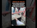 🐶❤️ Héroes del Rescate #DogRescue #AnimalRescue#Heartwarming #Kindness #BraveHeroes #AnimalLovers