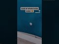 Look in the water 🥶🫣#reels #funny #comedyclips #viralvideo #comedy #funnycomedy #viralreels