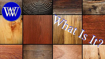 Is there an app to identify wood types in furniture?
