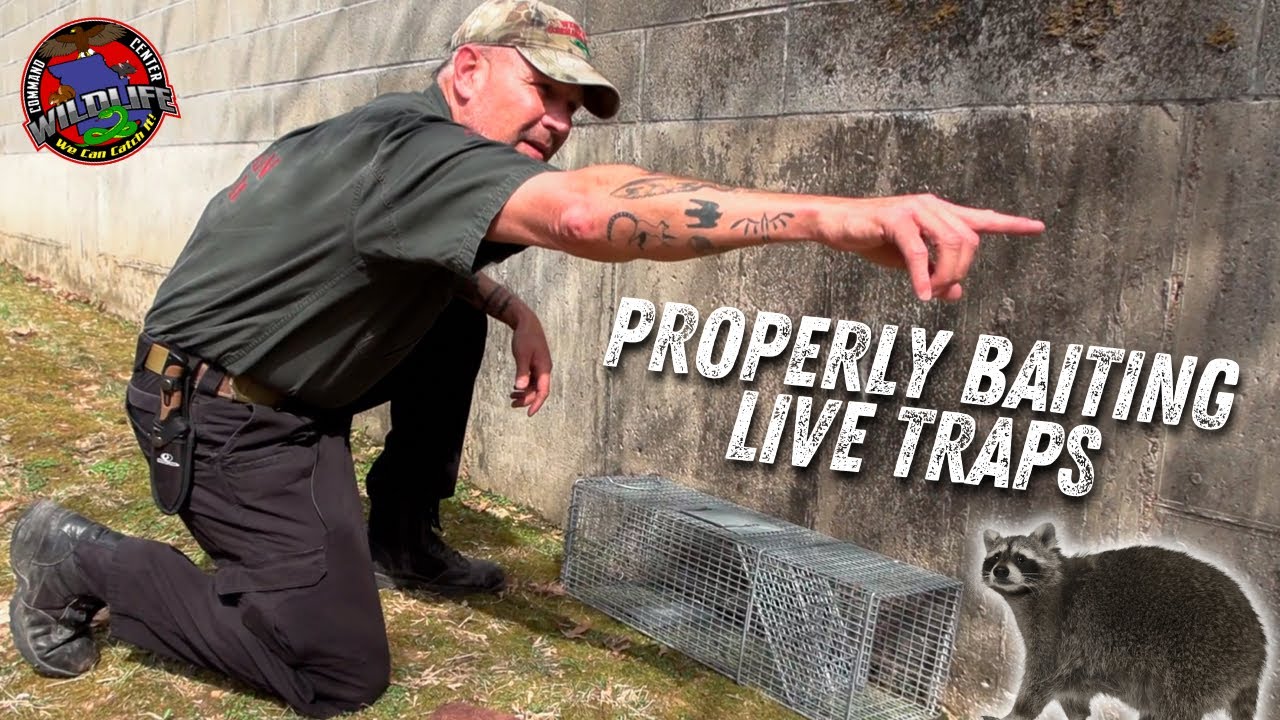 Setting Traps for Dummies TOP SECRET Wildlife Command Center YouTube