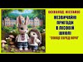 Незвичайні пригоди в лісовий школі. Весела повість про звірят Всеволода Нестайко. Сонце серед ночі.