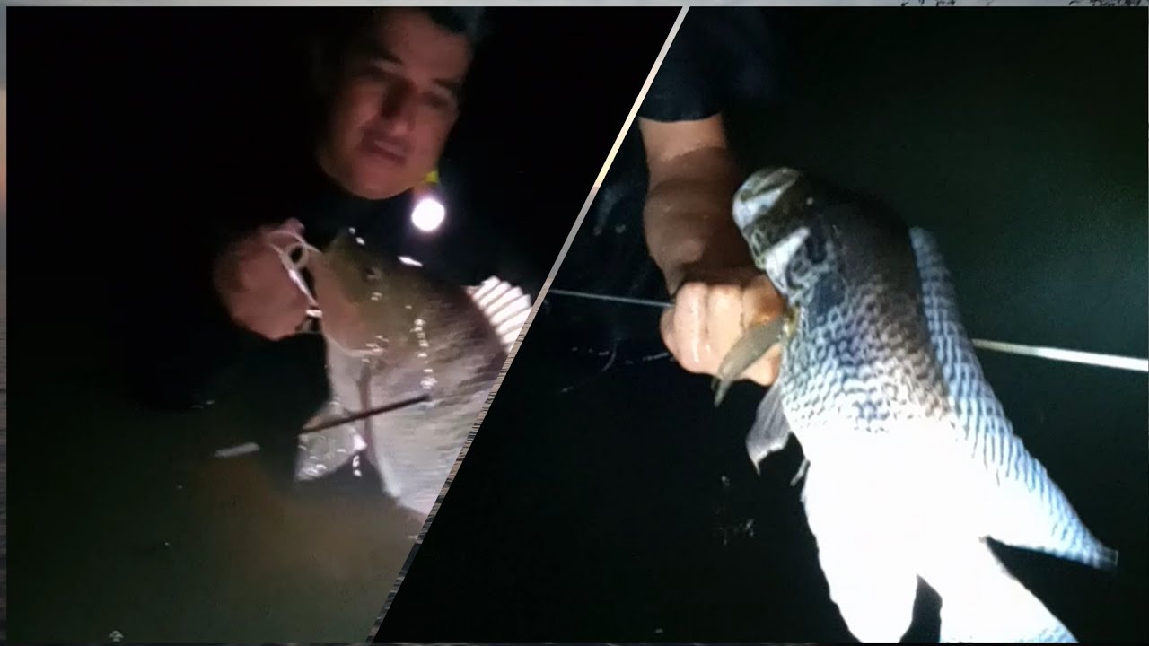 Pesca perfecta en lago de Izabal#5