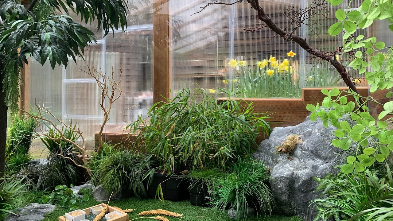 Echo's aviary macro-views