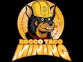 Raptoreum Price Going Up