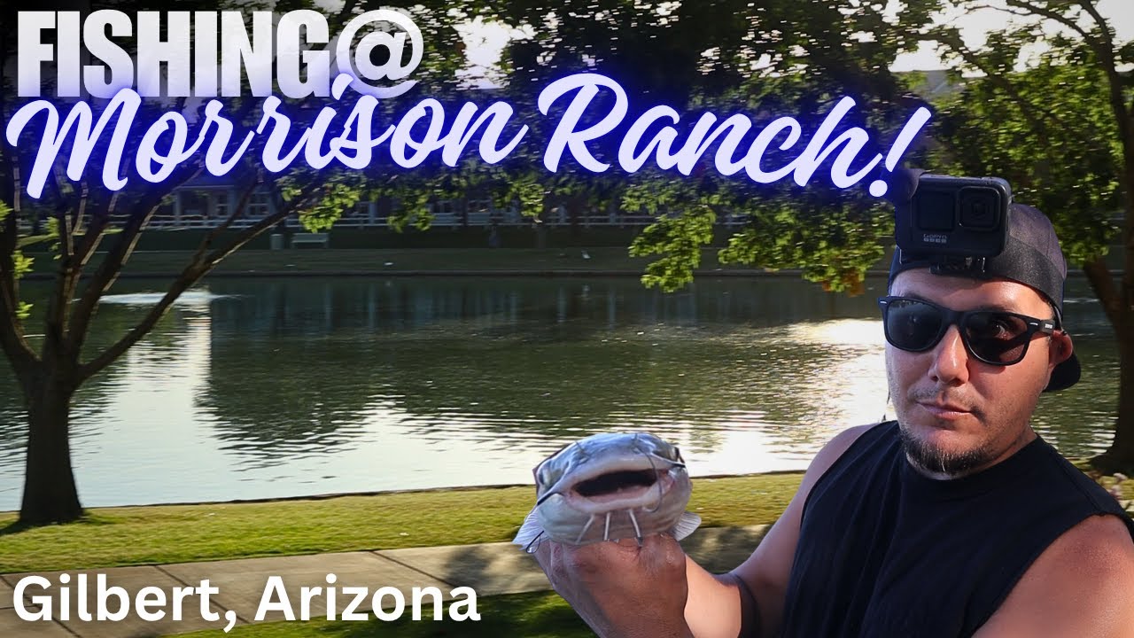 Morrison Ranch Lakes Pulling Fish at Morrison Ranch Lake in Gilbert Arizona! (unexpected ...