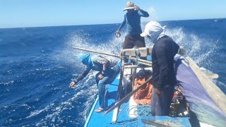 PESCARIA 3 PEIXES GRANDES UM DE MAIS 50kg trabalho em equipe