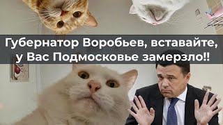 Губернатор Воробьев, Вставайте, У Вас Подмосковье Замерзло