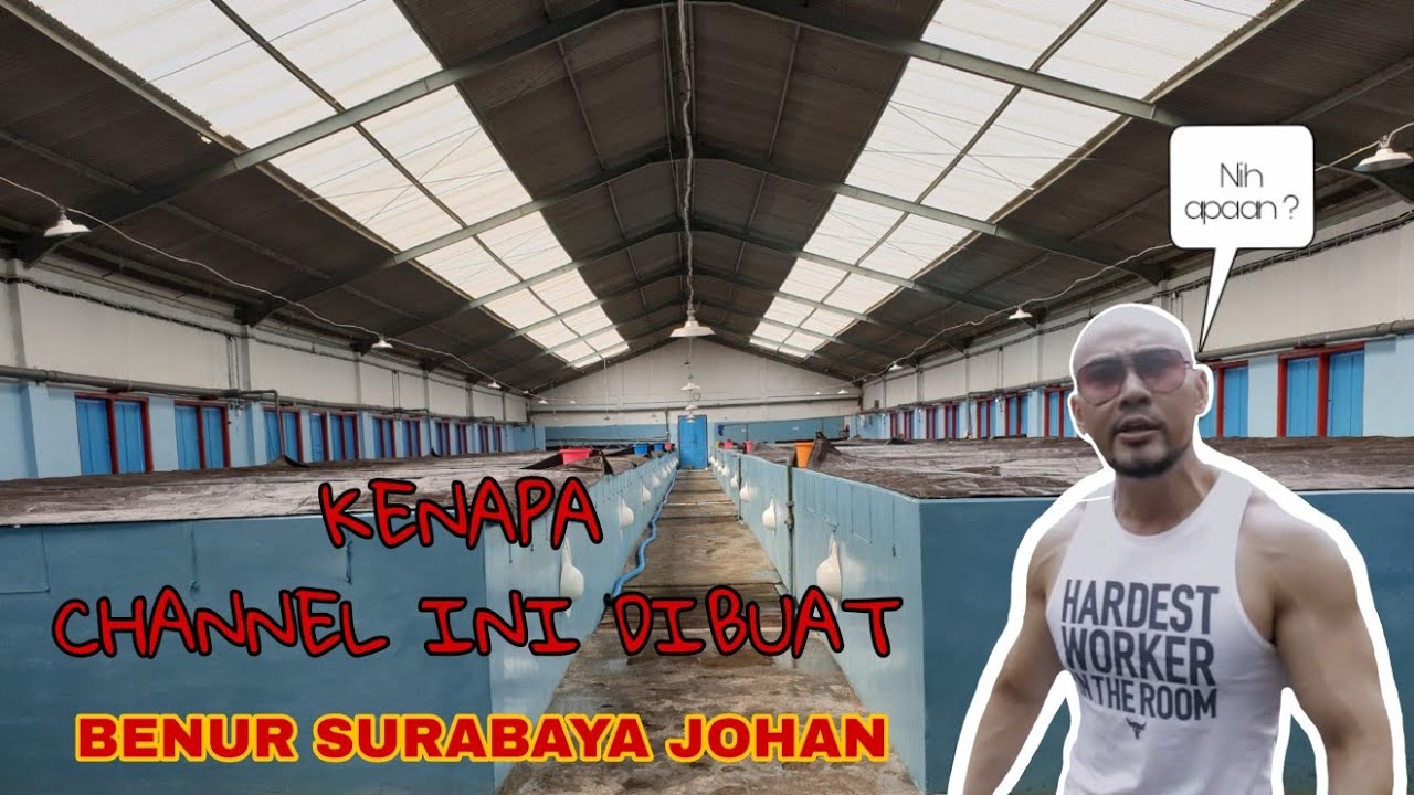 Budidaya udang windu #ROGFORLIFE - YouTube
